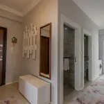 فيلة Zb