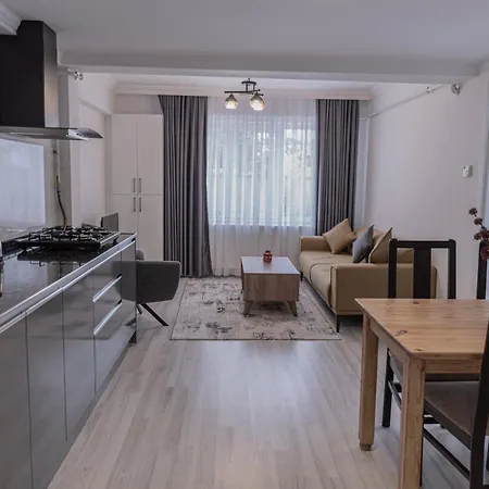 Z&b Villa